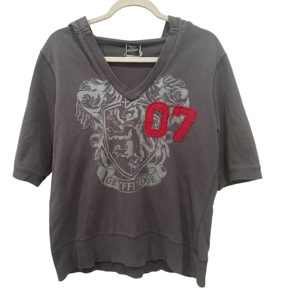 Harry Potter Gryffindor V-Neck Sweatshirt Hoodie Wizard Warner Bros. Movie Sz L - Picture 1 of 8